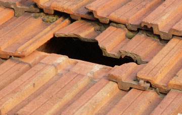 roof repair Northmoor Green Or Moorland, Somerset