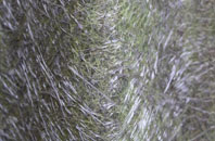 Northmoor Green Or Moorland fibreglass roof work